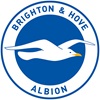 Brighton & Hove Albion FC Company logo