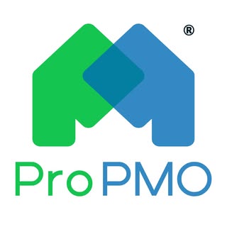 ProPMO Services Private Limited Company logo
