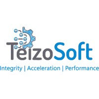TeizoSoft Private Limited Company logo