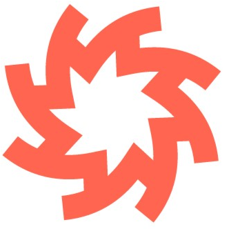 RapidCanvas Company logo