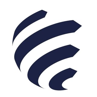 Stefanini Group Company logo