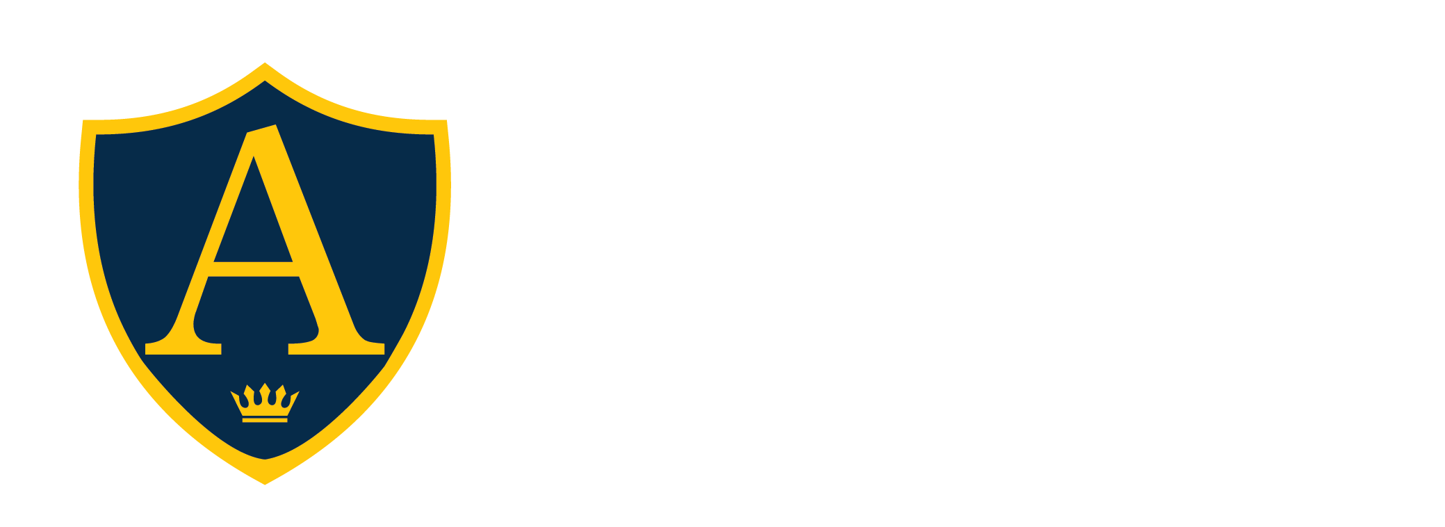 Amity English School Company logo