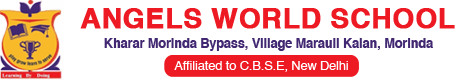 Angels World School Company logo
