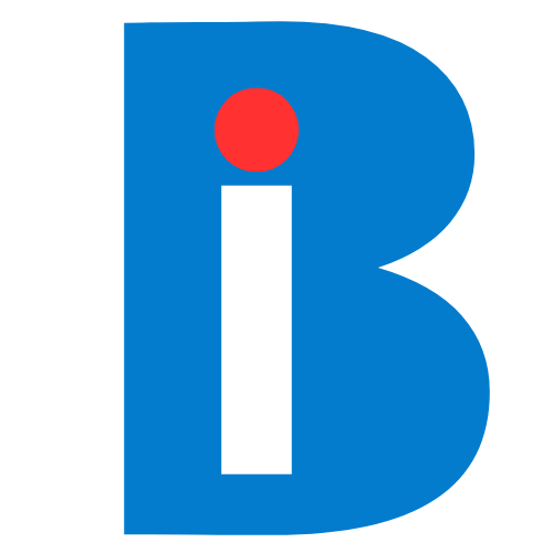 Big It Jobs Company logo