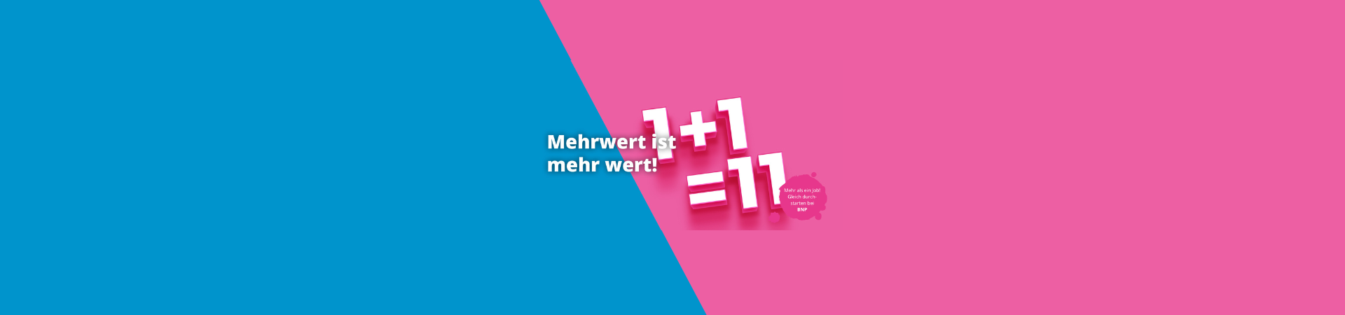 BNP Wirtschaftstreuhand und Steuerberatungsgesellschaft m.b.H Firmenbanner