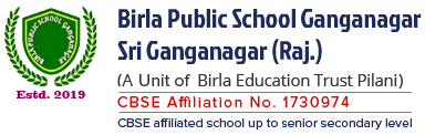 Birla Public School Company logo