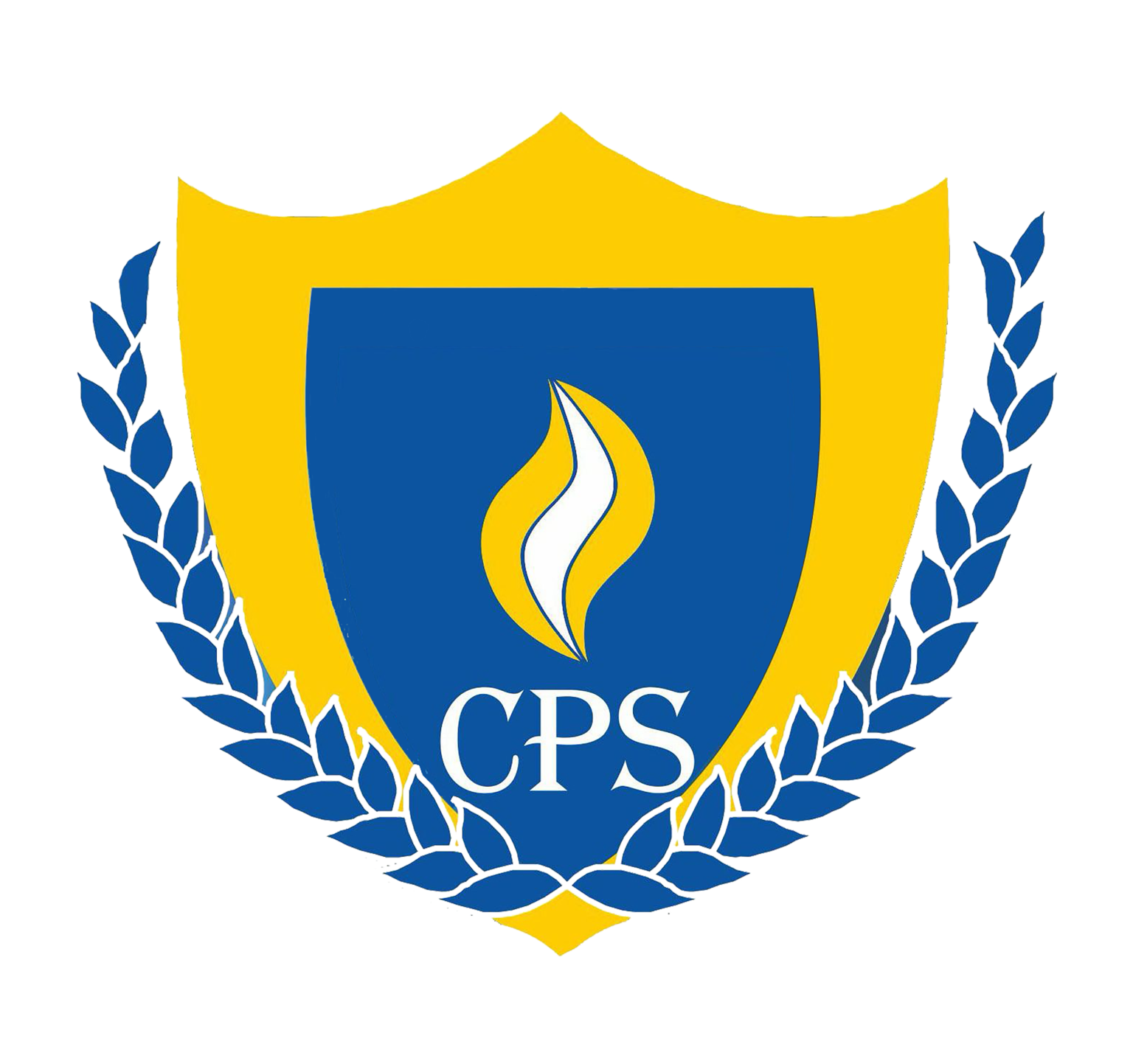 Capital Public School Company logo
