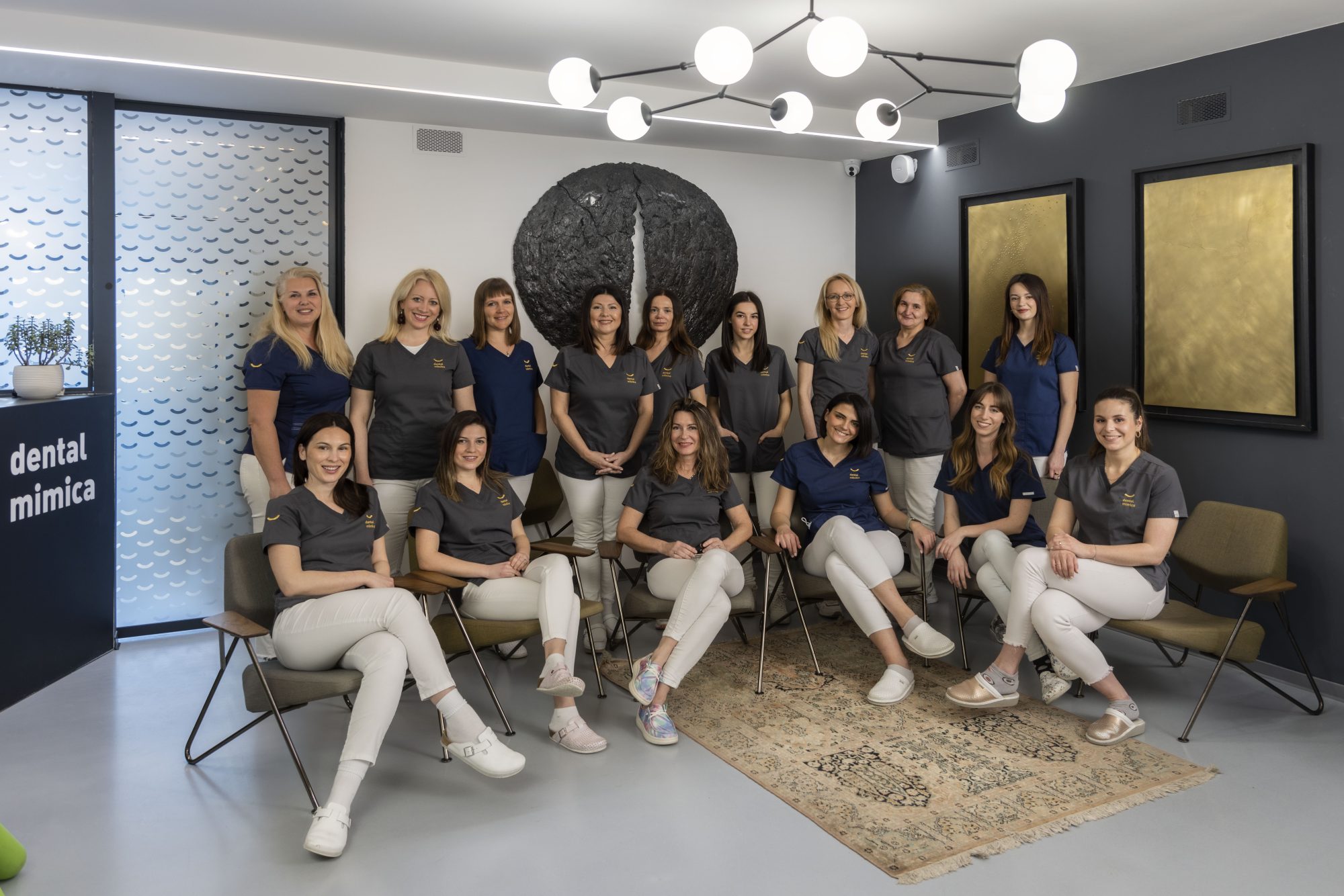 Dental Mimica Company banner