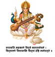 Haryana Model Sr. Sec. School Company logo