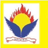 The Vindhyan School Company logo