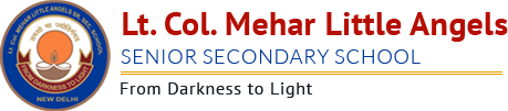 Lt. Col. Mehar Little Angels Sr. Sec. School Company logo