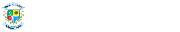 Mount St. Mary’s School Company logo