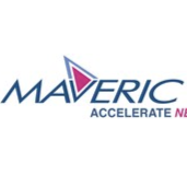 MAVERIC SYSTEMS Company logo