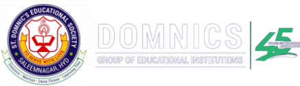 Domnics Group of Schools Company logo