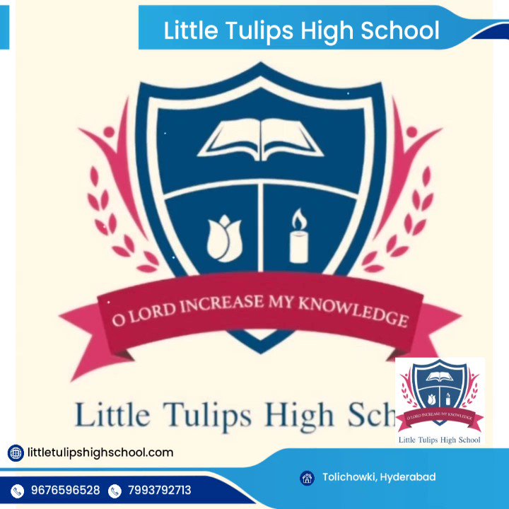 Little Tulips High School Company logo