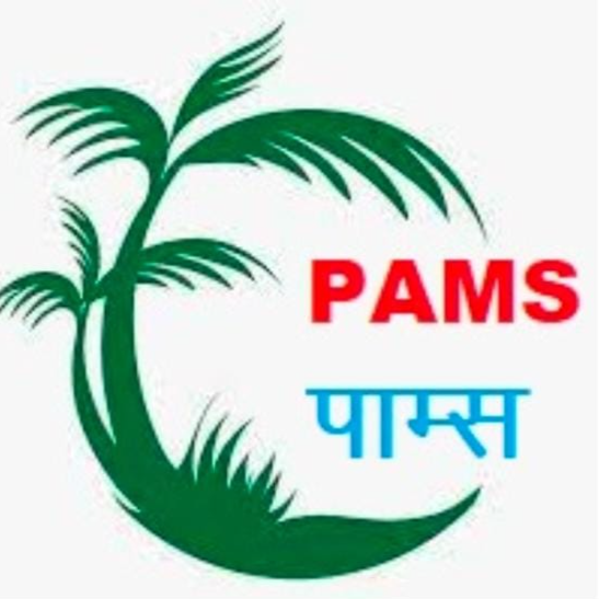 PAMS Company logo