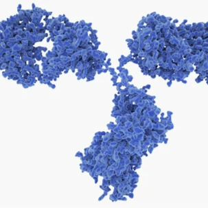 Hantavirus Research Reagents Company logo