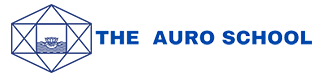 THE AURO SCHOOL Company logo
