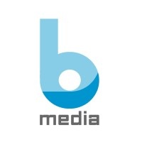 Ballyhoo Media Company logo