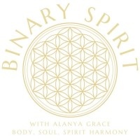 Binary Spirit Company logo