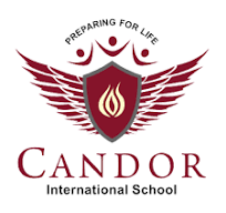Candor International School Company logo