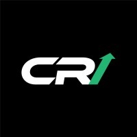 Cyberise Company logo