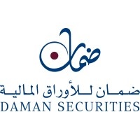 Daman Securities logo
