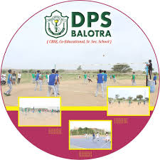 DPS Balotra Company logo