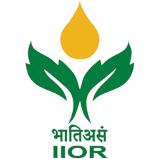 OASYS Institute of Technology Company logo