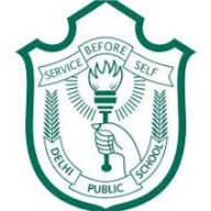 Delhi Public School Vapi Company logo