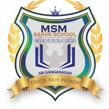MSM Sainik School Company logo