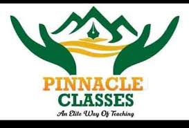 PINNACLE CLASSES Company logo