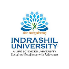 Indrashil University Mehsana Company logo