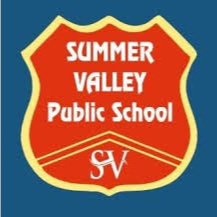 Summer Valley Public School Company logo