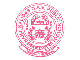 Nanji Kalidas D.A.V. Public School Company logo