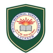 Pinto Memorial Surya Academy Company logo