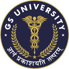 GS University Company logo