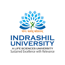 Indrashil University Company logo
