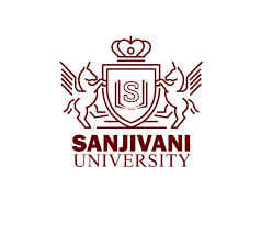 Hans International School Company logo