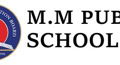 MM Public School Company logo
