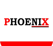 Phoenix Institute Company logo
