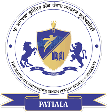 Punjab Sports University Company logo