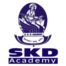 SKD Academy Company logo