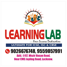 Learning Lab Coaching Company logo