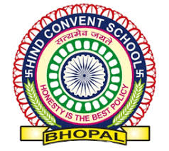 BJS Public School Company logo