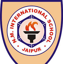 N.M. International School Company logo