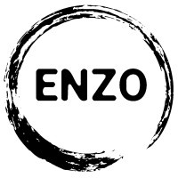 Enzo Company logo