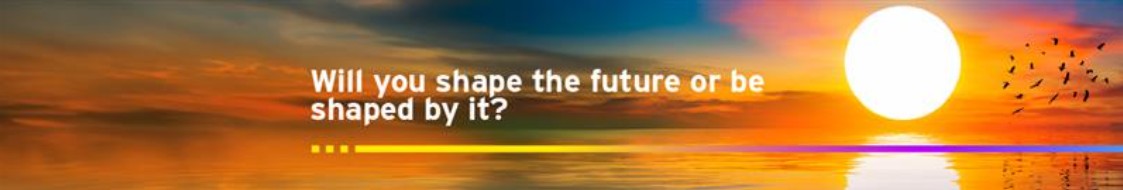 Ernst & Young Company banner