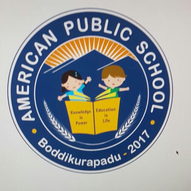 American Public School Company logo