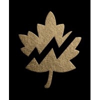 Geo Pallet Company logo